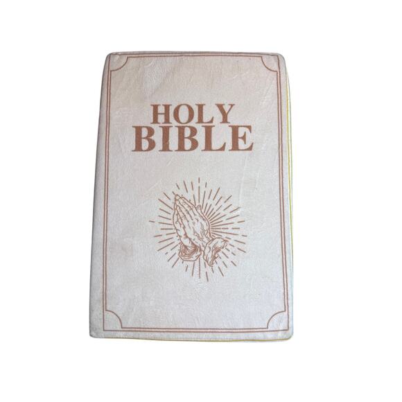 Feta Bible Pillow Matthew 6:25-34 - Picture 1 of 5